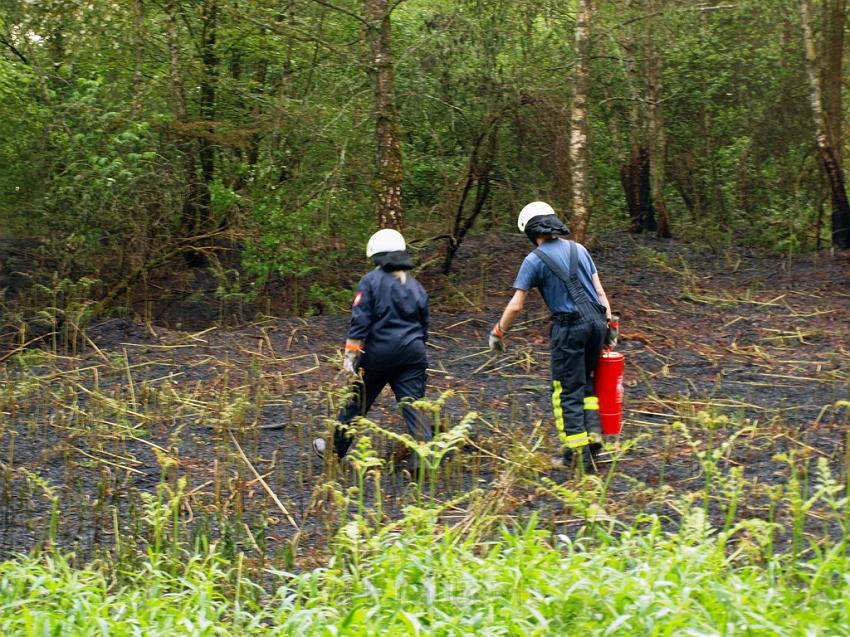 Waldbrand Bergisch Gladbach Bensberg P097.JPG